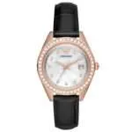 Original Women watch Emporio Armani AR11505