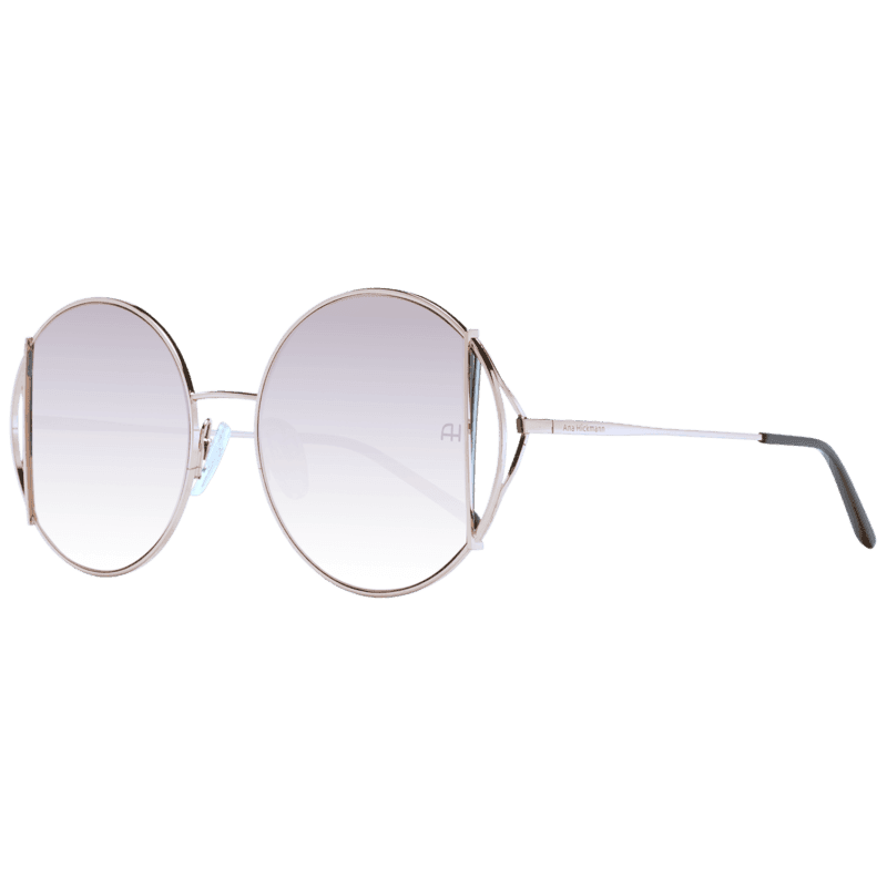 Ana Hickmann Sunglasses AH3192 04D 53