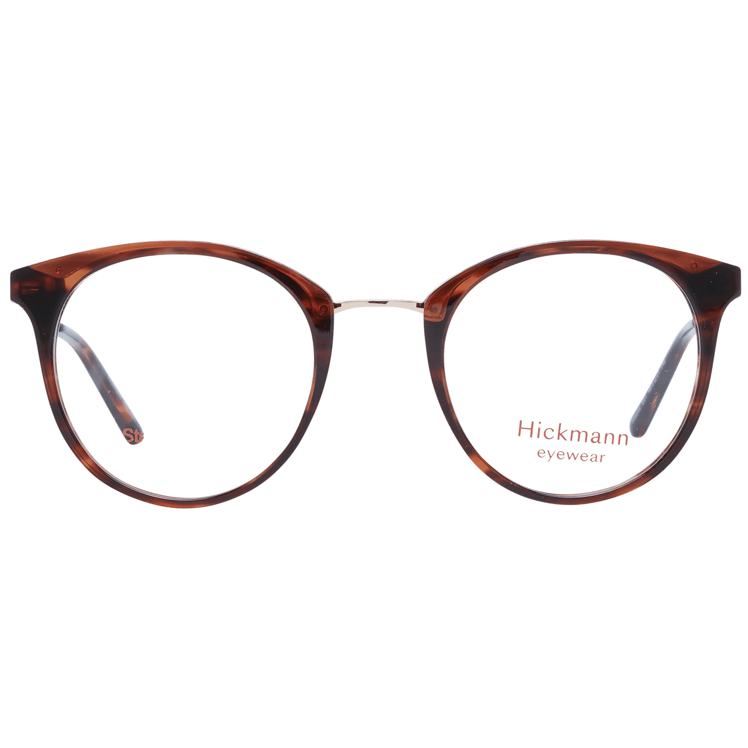 Women Brown Ana Hickmann Optical Frame HI6200 E01 48
