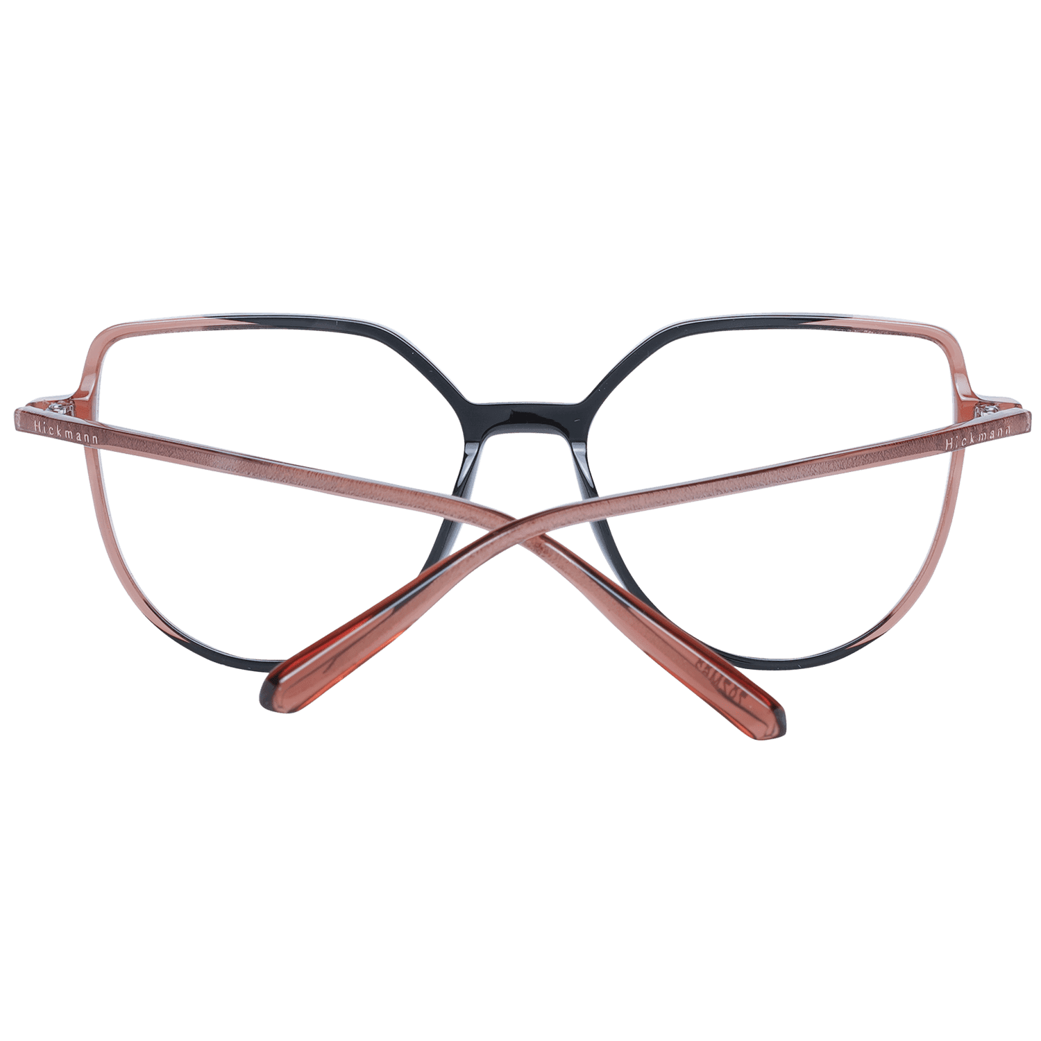 Ana Hickmann Optical Frames HI6196 53P02
