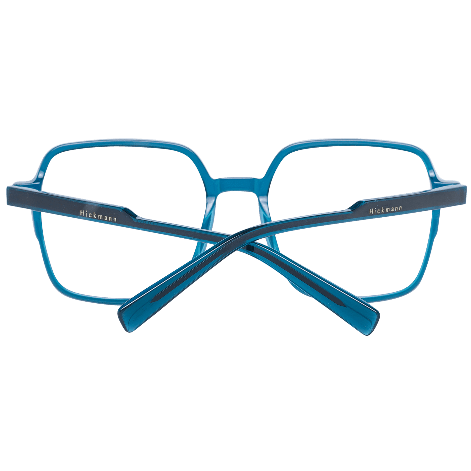 Ana Hickmann Optical Frames HI6234 52H01