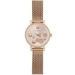Original Women watch Pierre Cardin CCM.0501
