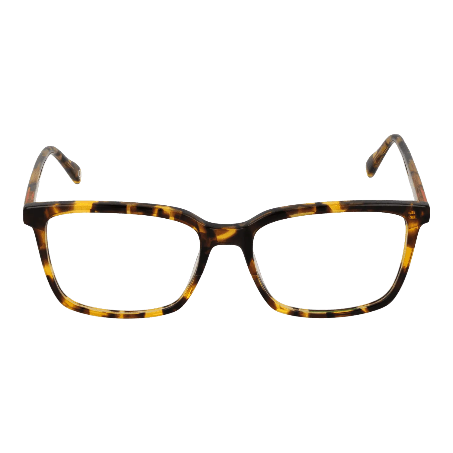 Men Brown Benetton Optical Frame BEO109 103 55