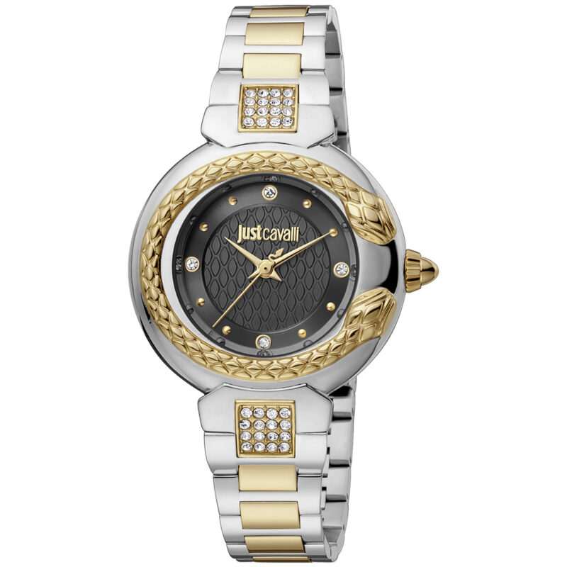 Original Women watch Just Cavalli JC1L174M0105