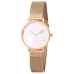 Original Women watch Pierre Cardin CBV.1519