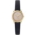 Original Women watch Pierre Cardin CPI.2514