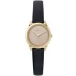 Original Women watch Pierre Cardin CPI.2514