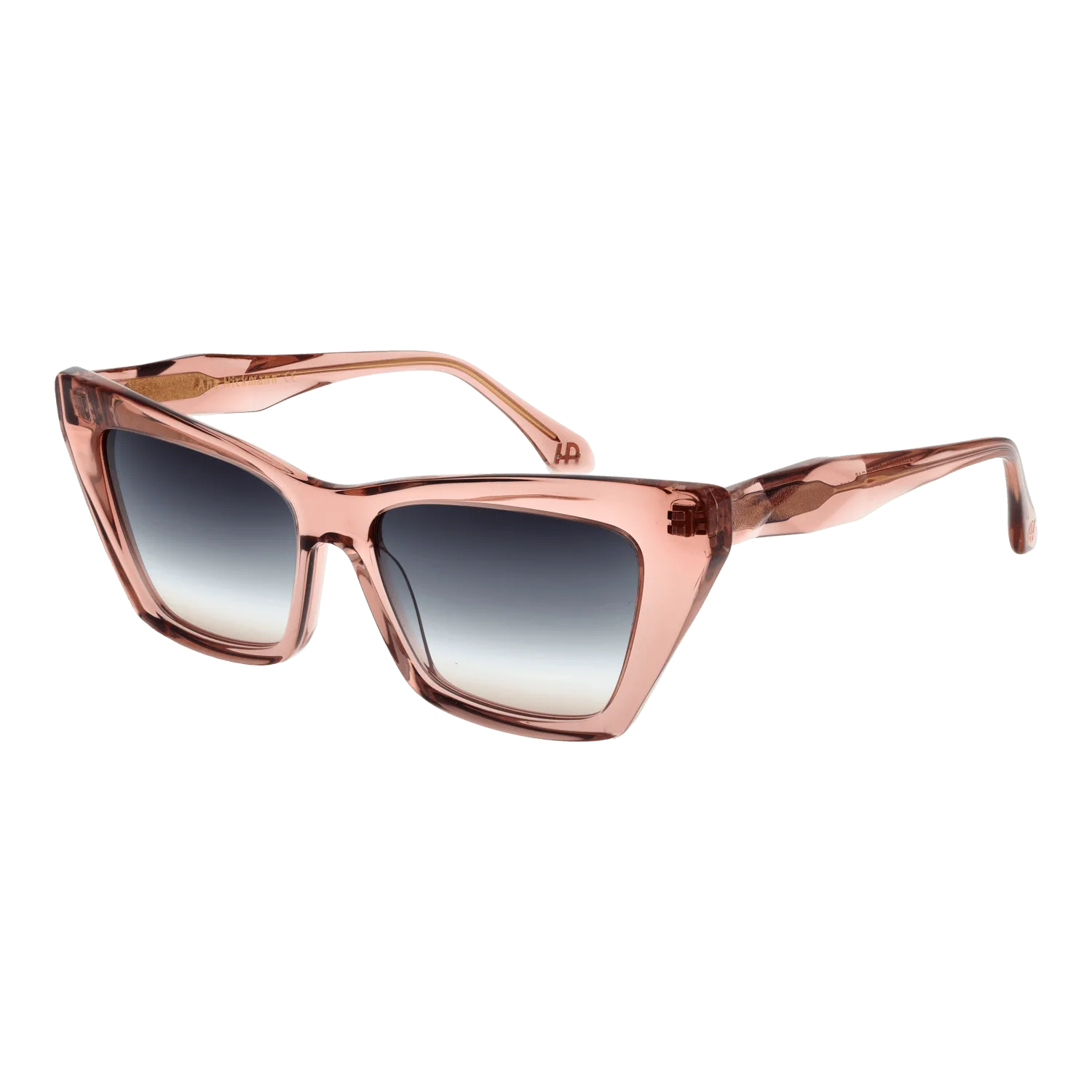 Ana Hickmann Sunglasses AH9390 T02 54