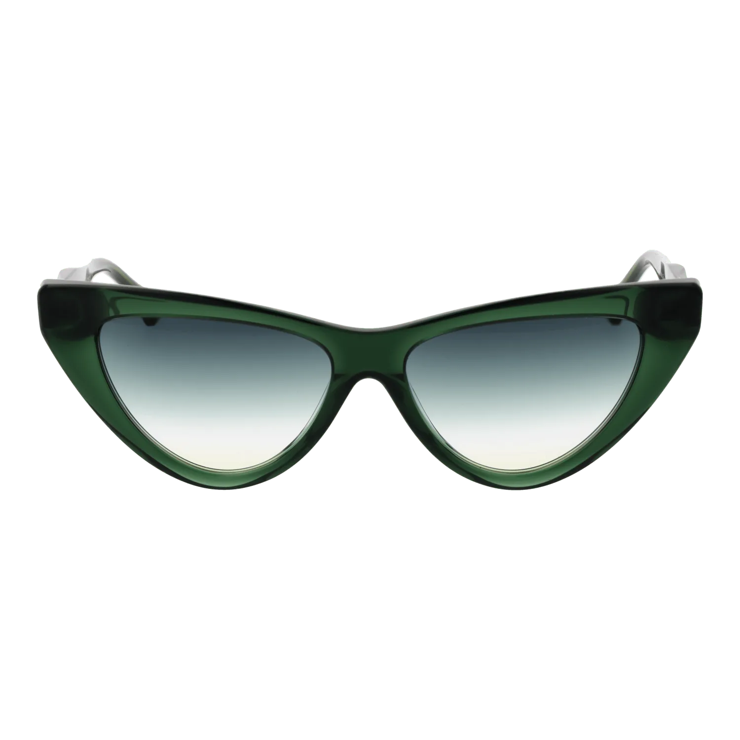 Women Green Ana Hickmann Sunglasses AH9391 T01 56