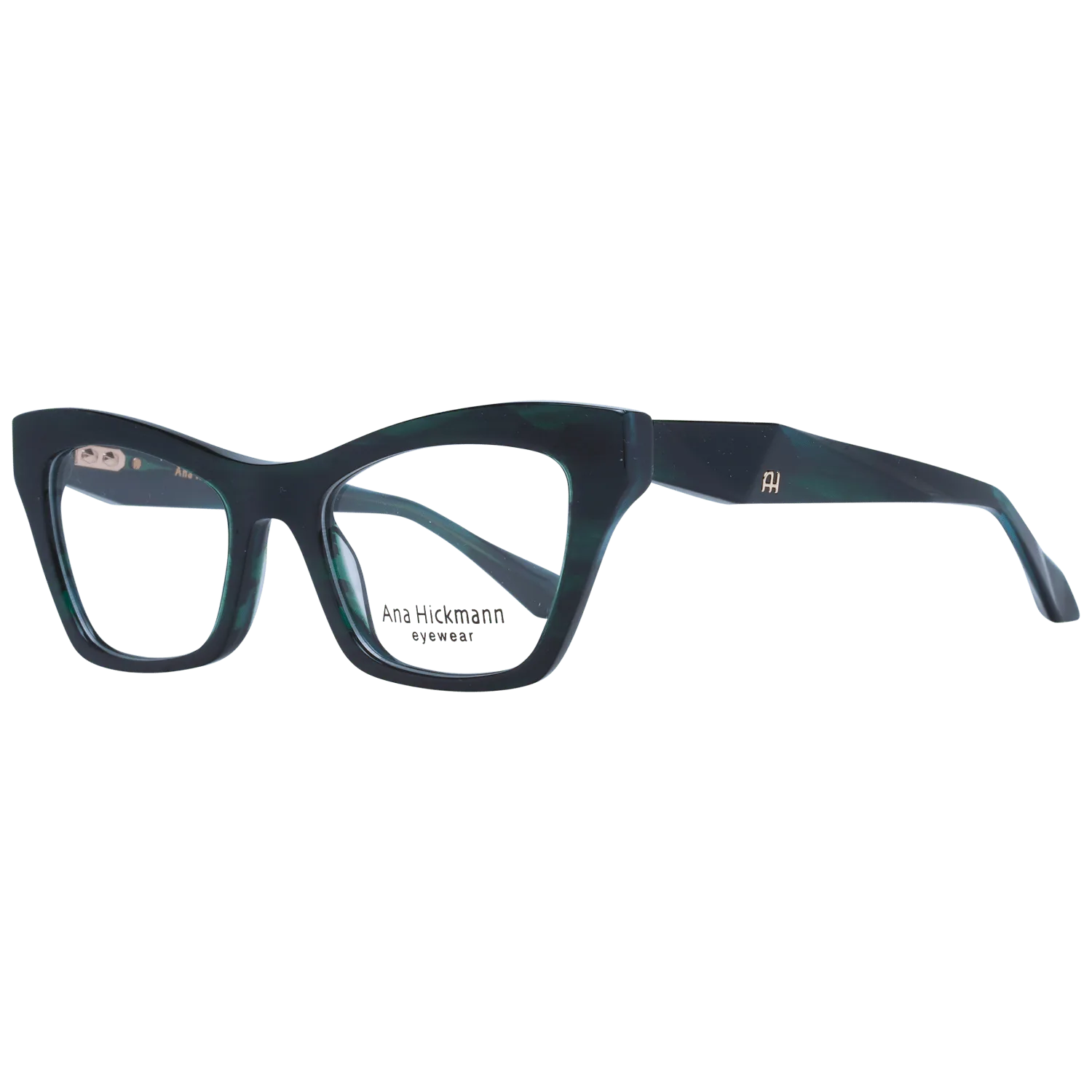 Ana Hickmann Optical Frame AH6529 H01 51