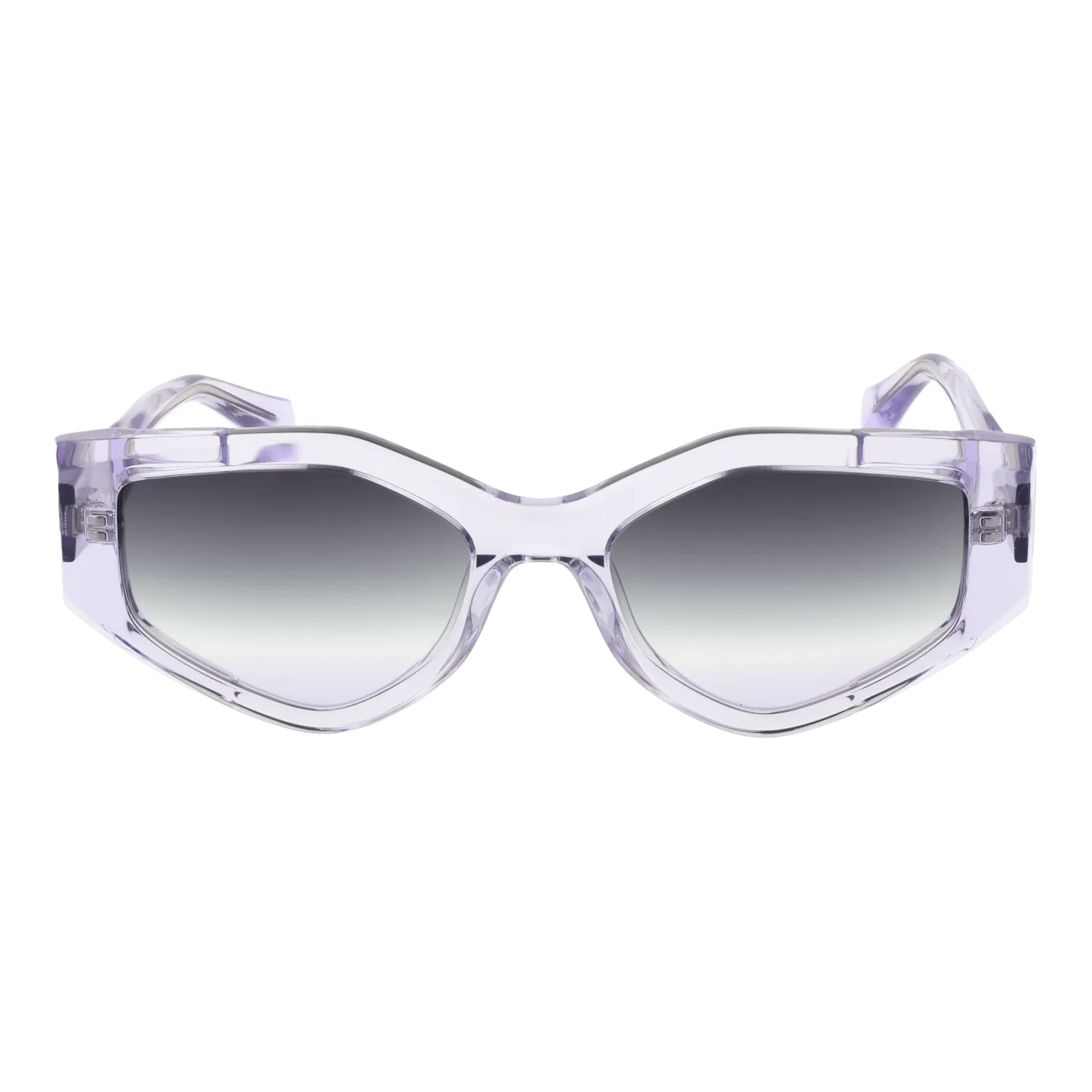 Women Purple Ana Hickmann Sunglasses HI9211 T02 54
