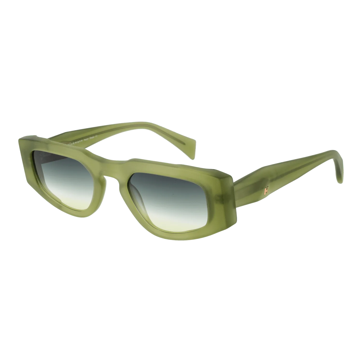 Ana Hickmann Sunglasses HI9220 T01 51