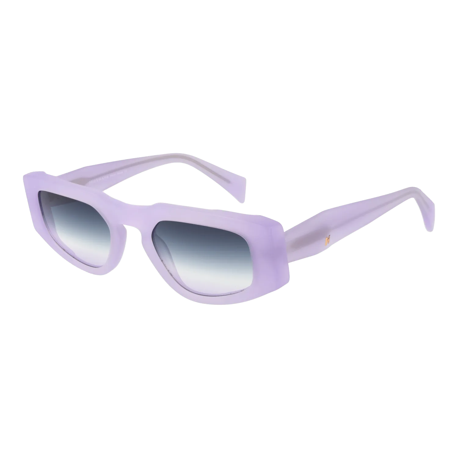 Ana Hickmann Sunglasses HI9220 T02 51