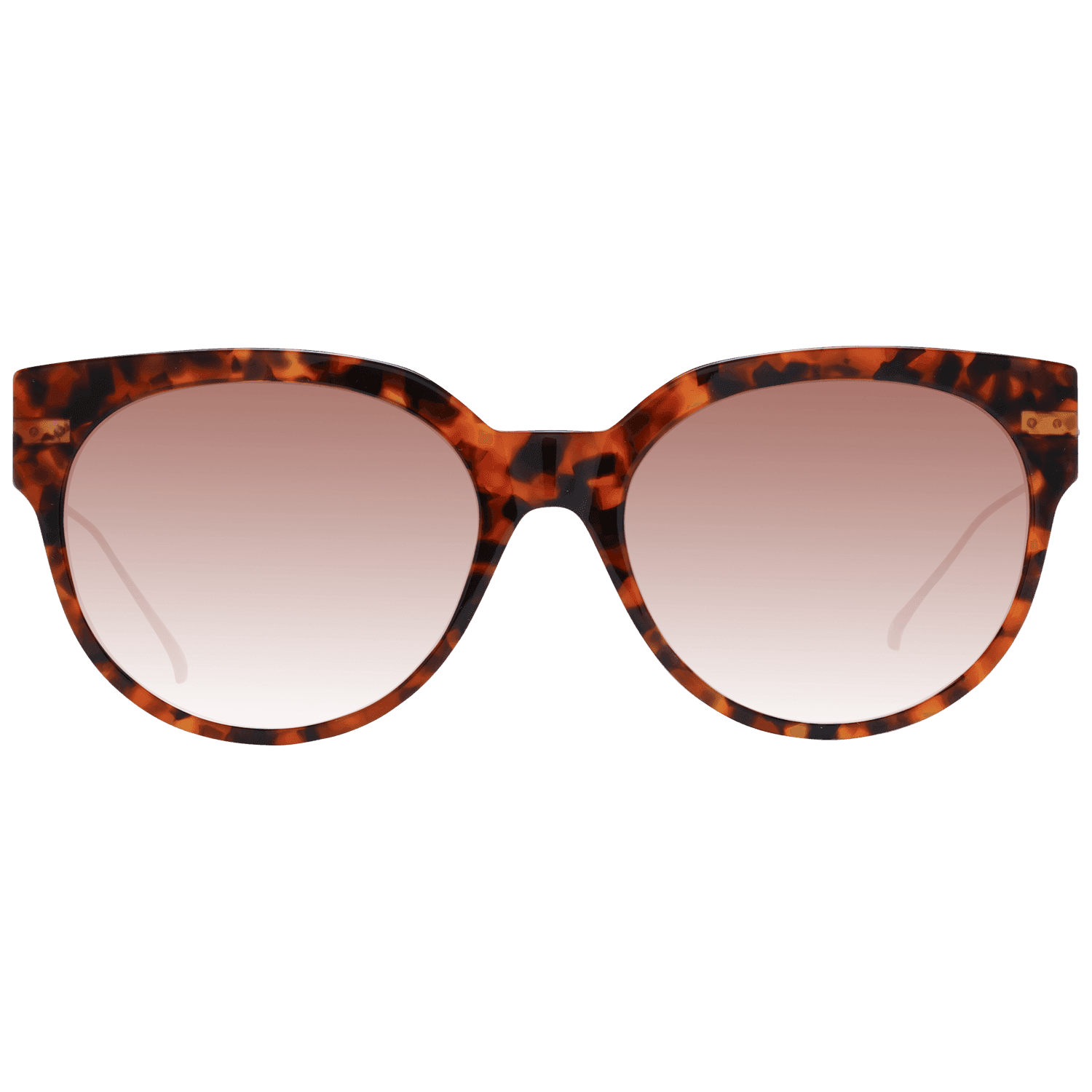 Women Brown Scotch & Soda Sunglasses SS7005 104 55
