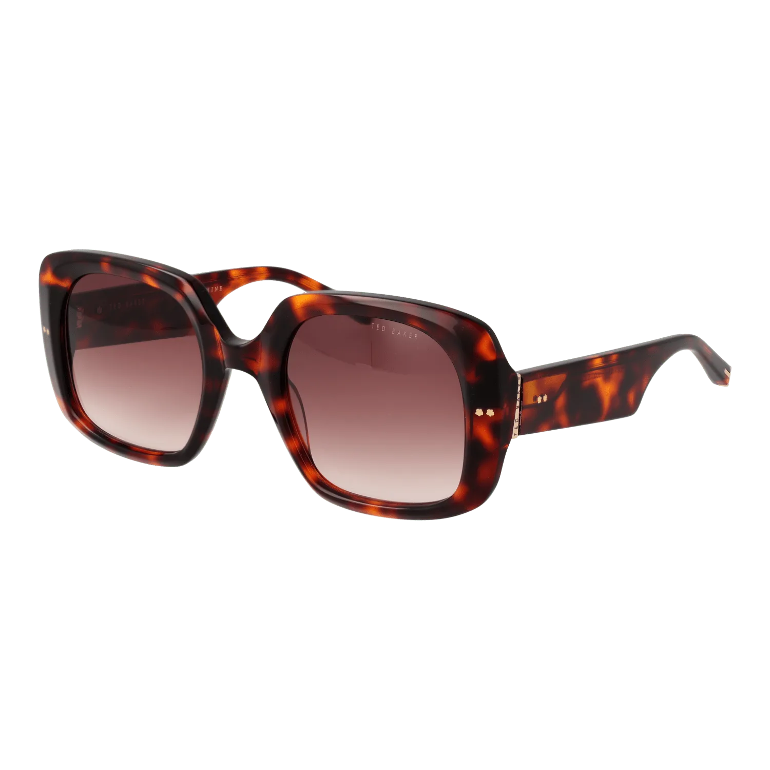 Ted Baker Sunglasses TB1730 100 53