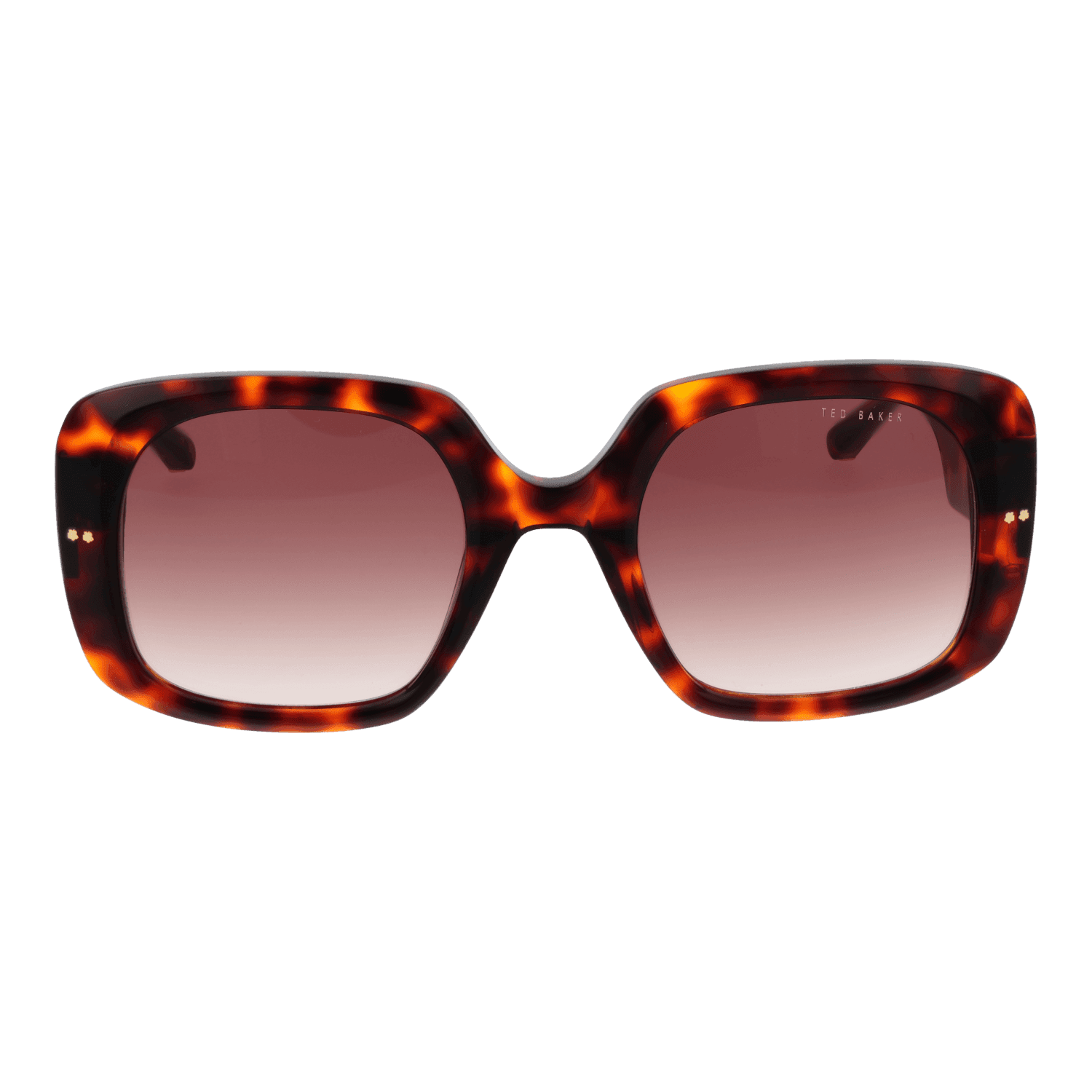 Women Brown Ted Baker Sunglasses TB1730 100 53