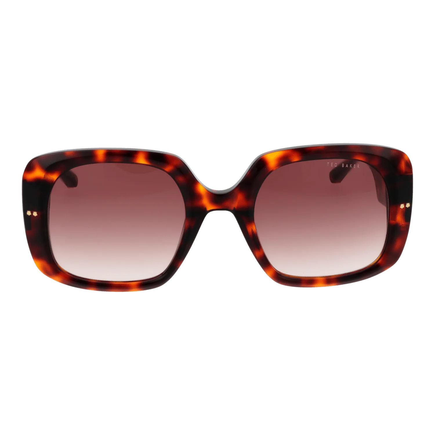 Women Brown Ted Baker Sunglasses TB1730 100 53