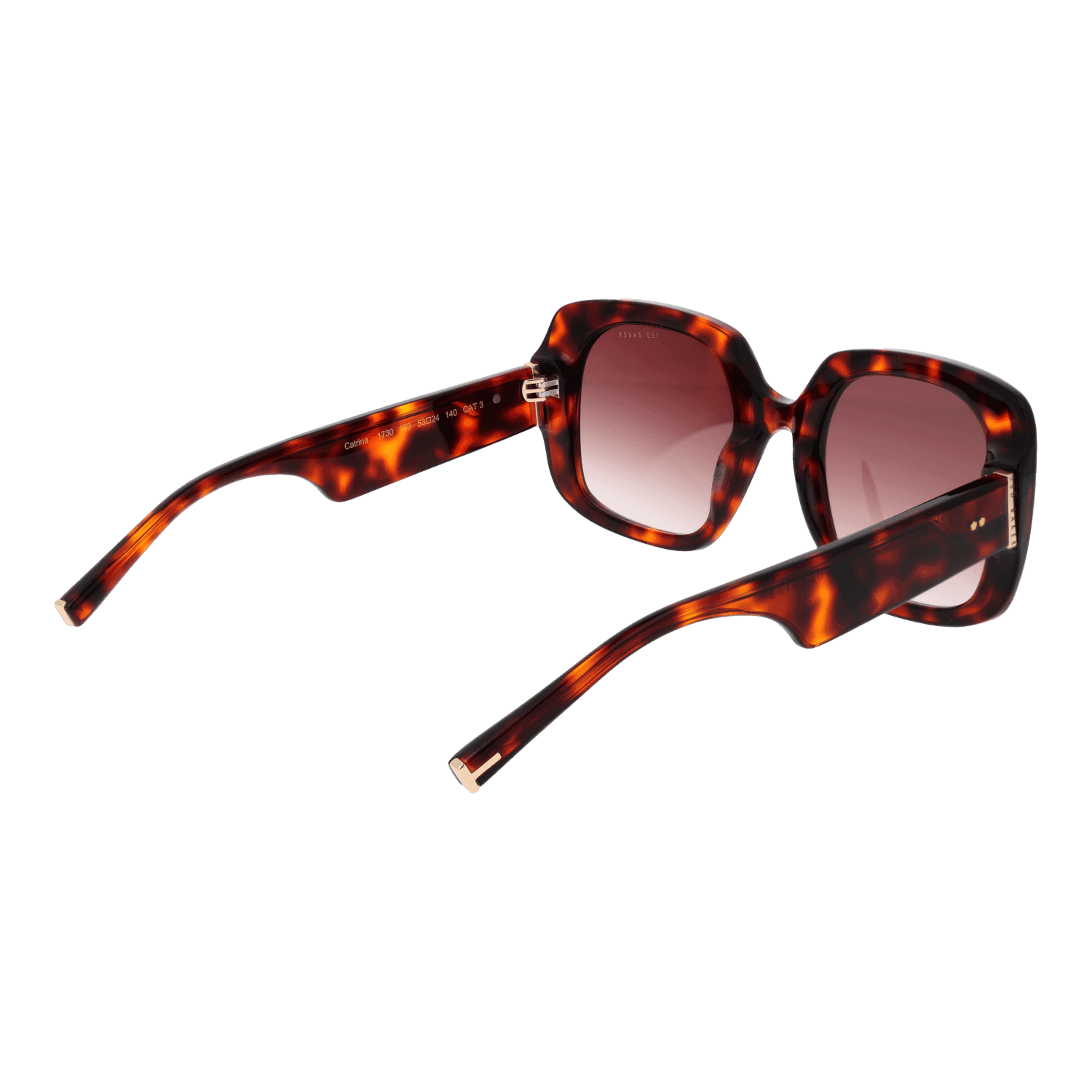 Ted Baker Sunglasses TB1730 53100