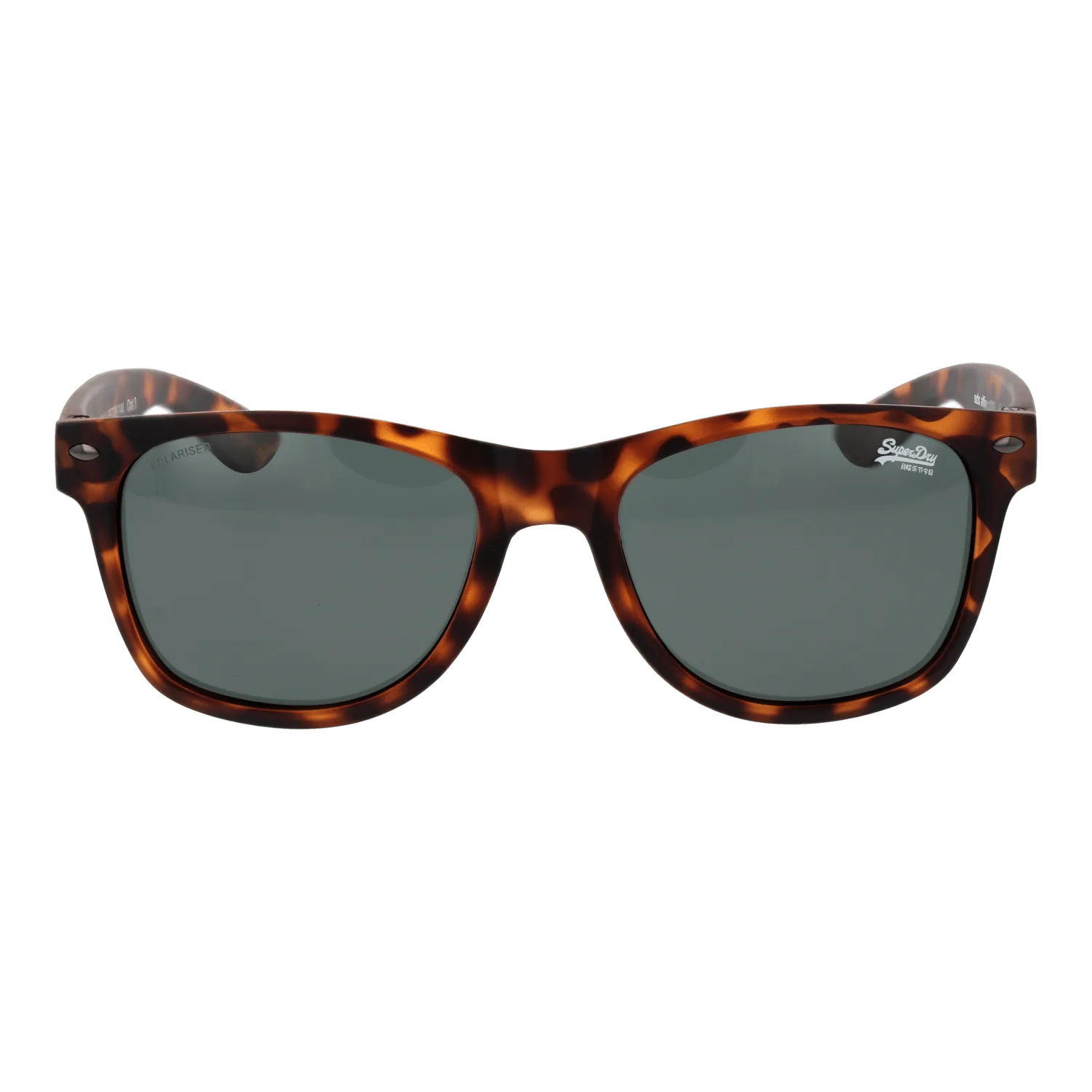 Men Brown Superdry Sunglasses SDS-ALFIE 102P 55