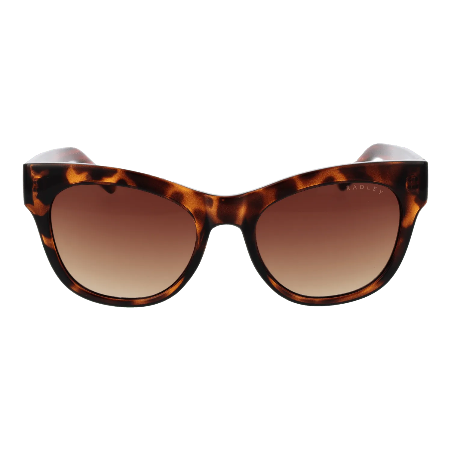 Women Brown Radley Sunglasses RDS-6508 102A 52
