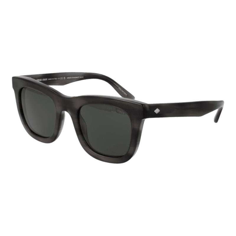 Giorgio Armani Sunglasses 0AR8171 5964P2 49