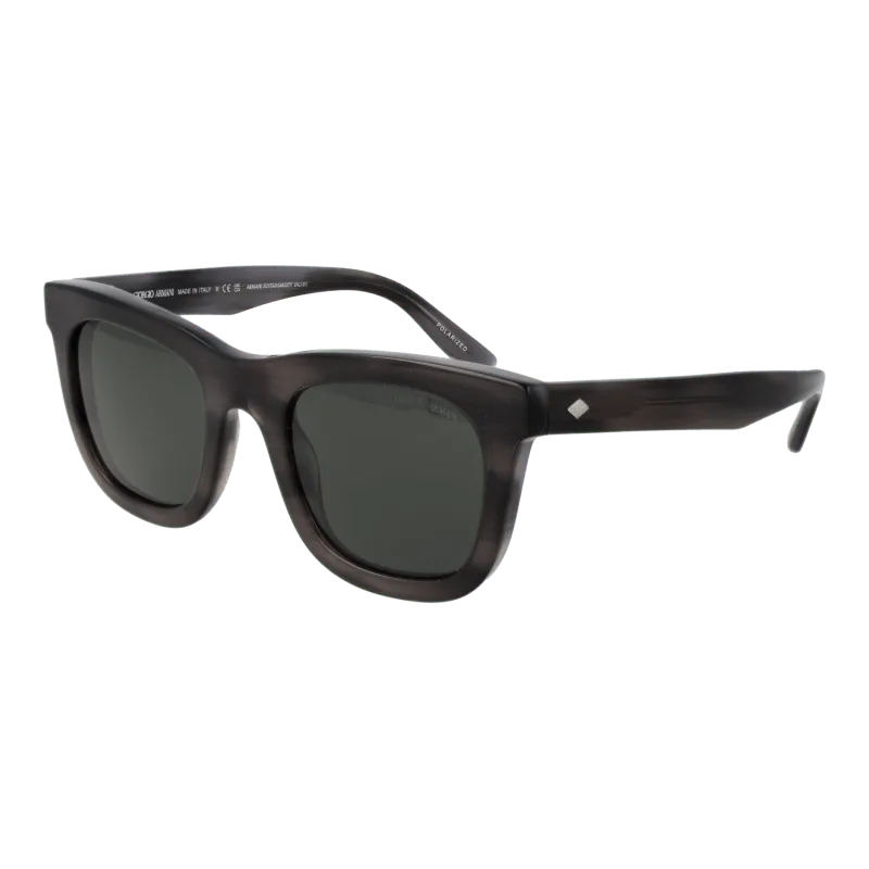 Giorgio Armani Sunglasses 0AR8171 5964P2 49