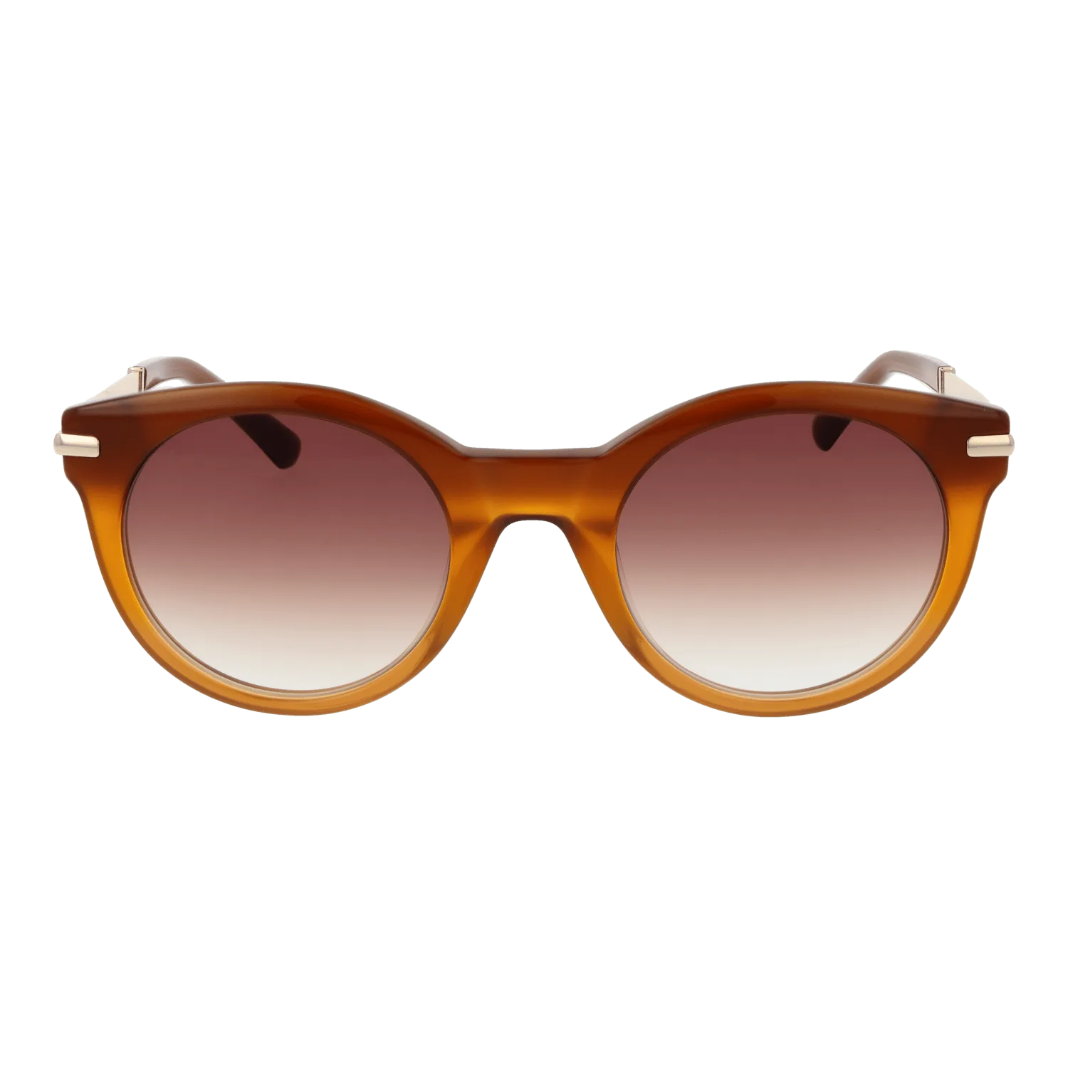 Women Honey Sandro Sunglasses SD6049 104 51