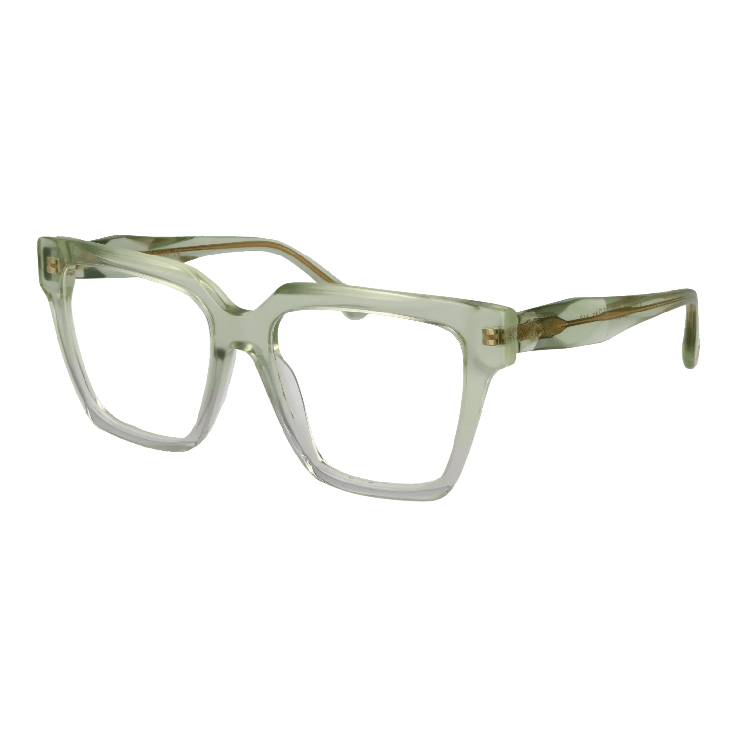 Ana Hickmann Optical Frame AH6522 C01 55