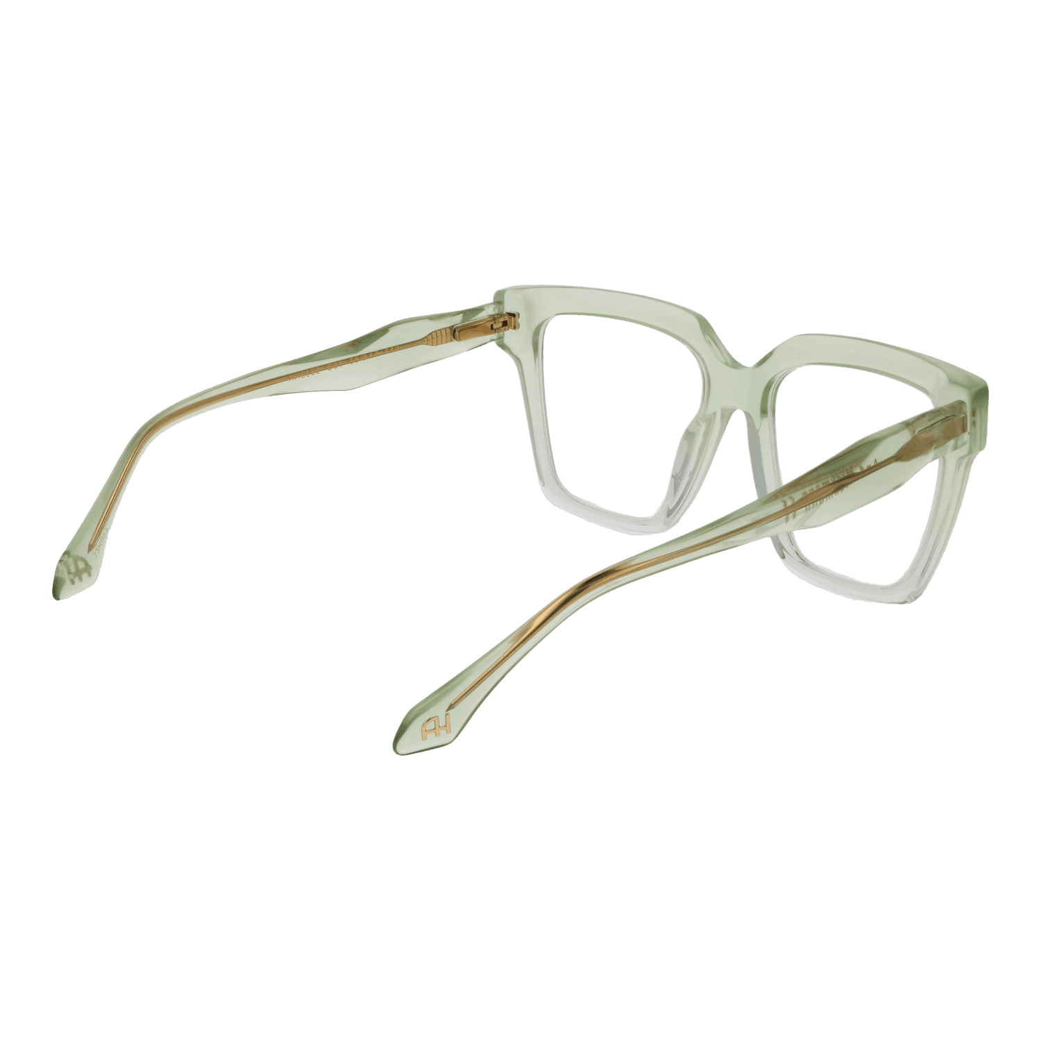 Ana Hickmann Optical Frames AH6522 55C01