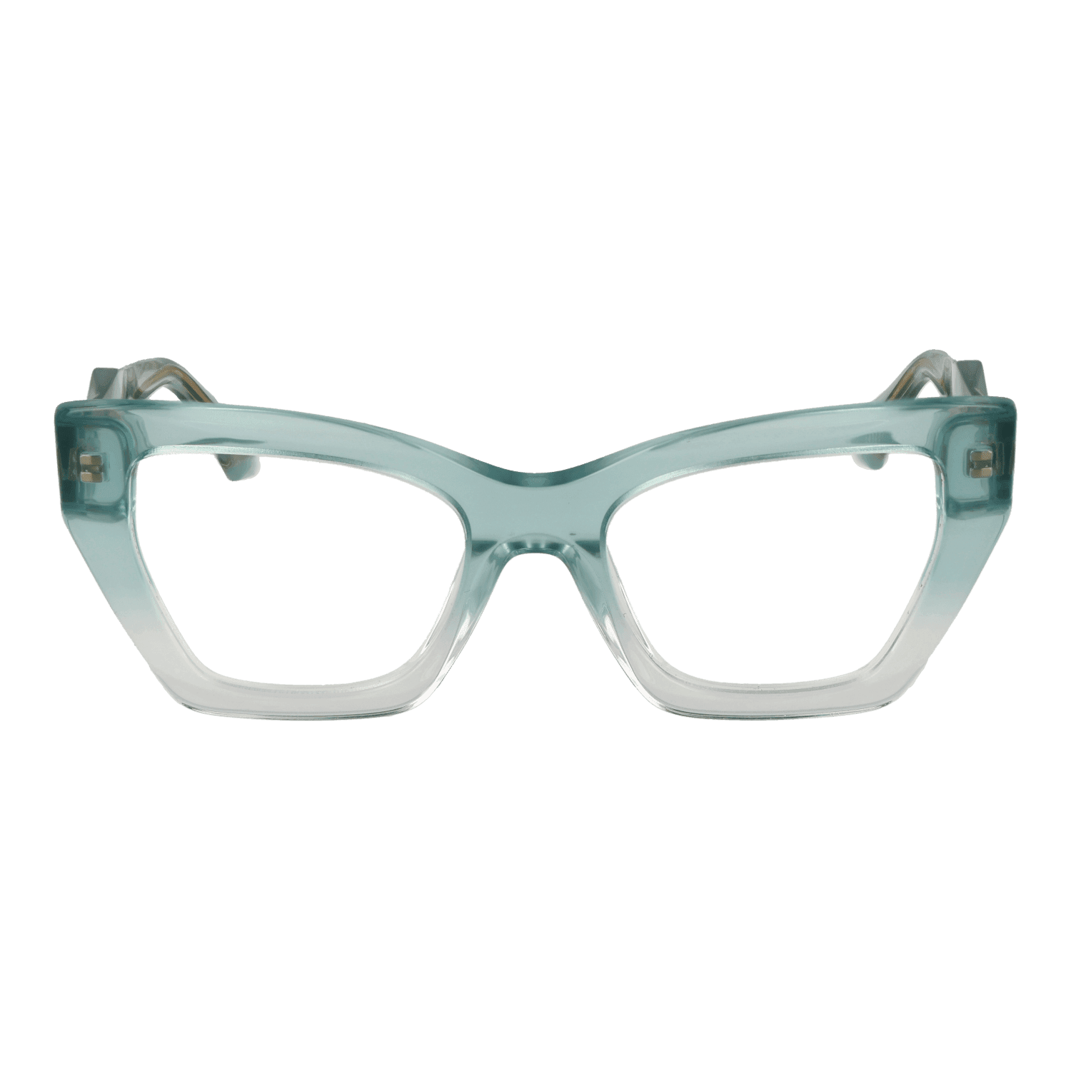 Women Turquoise Ana Hickmann Optical Frame AH6525 C01 51