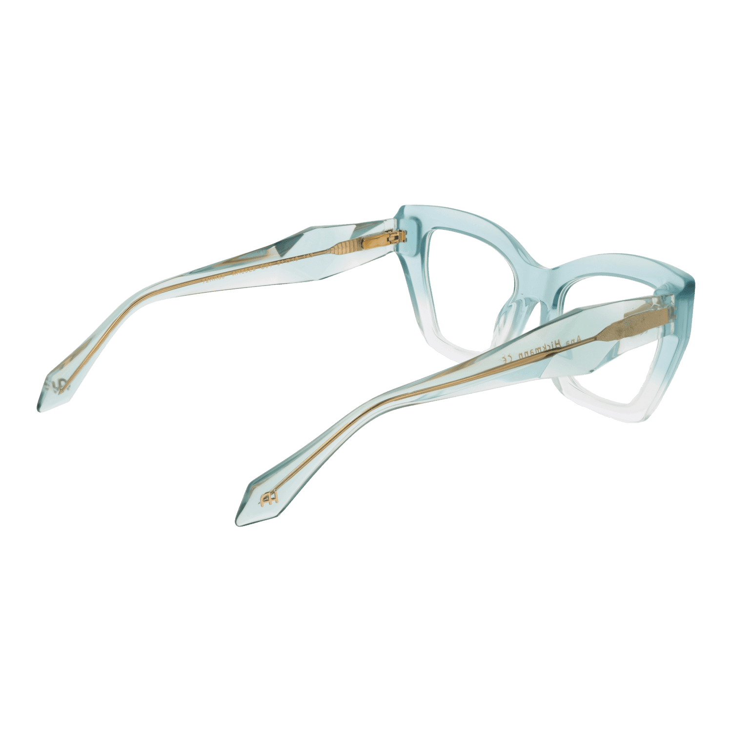 Ana Hickmann Optical Frames AH6525 51C01