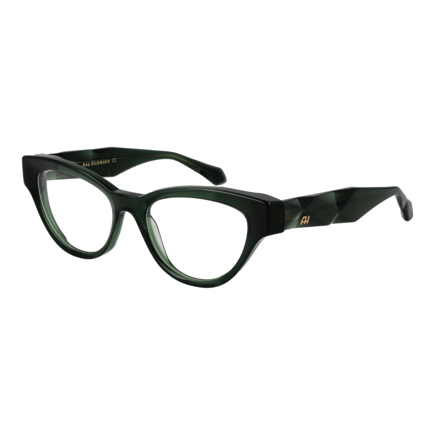 Ana Hickmann Optical Frame AH6542 T01 50