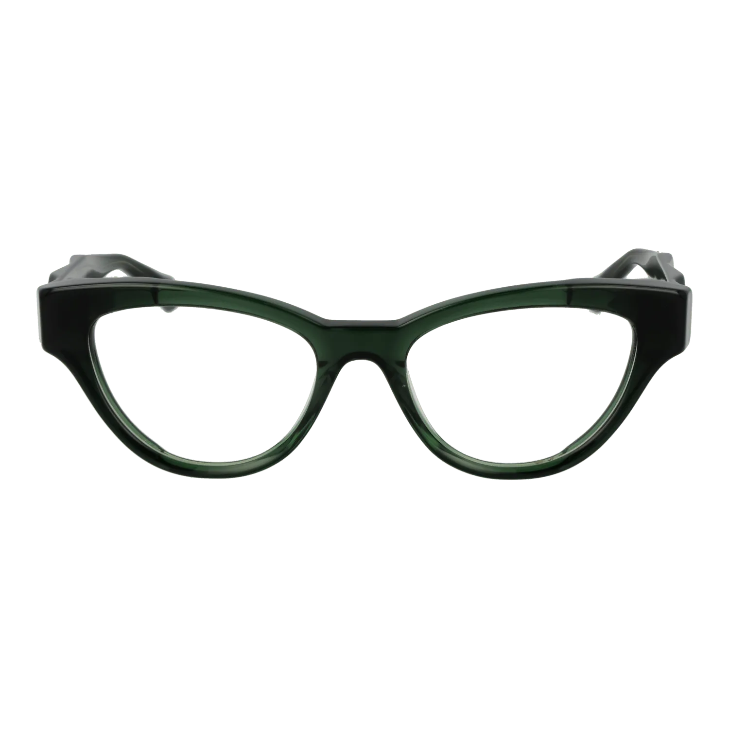 Women Green Ana Hickmann Optical Frame AH6542 T01 50