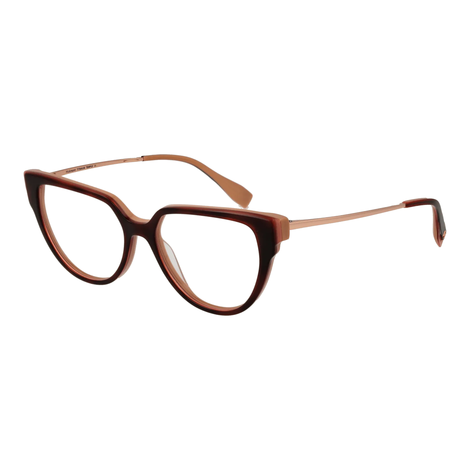 Ana Hickmann Optical Frame HI6290T G21 51