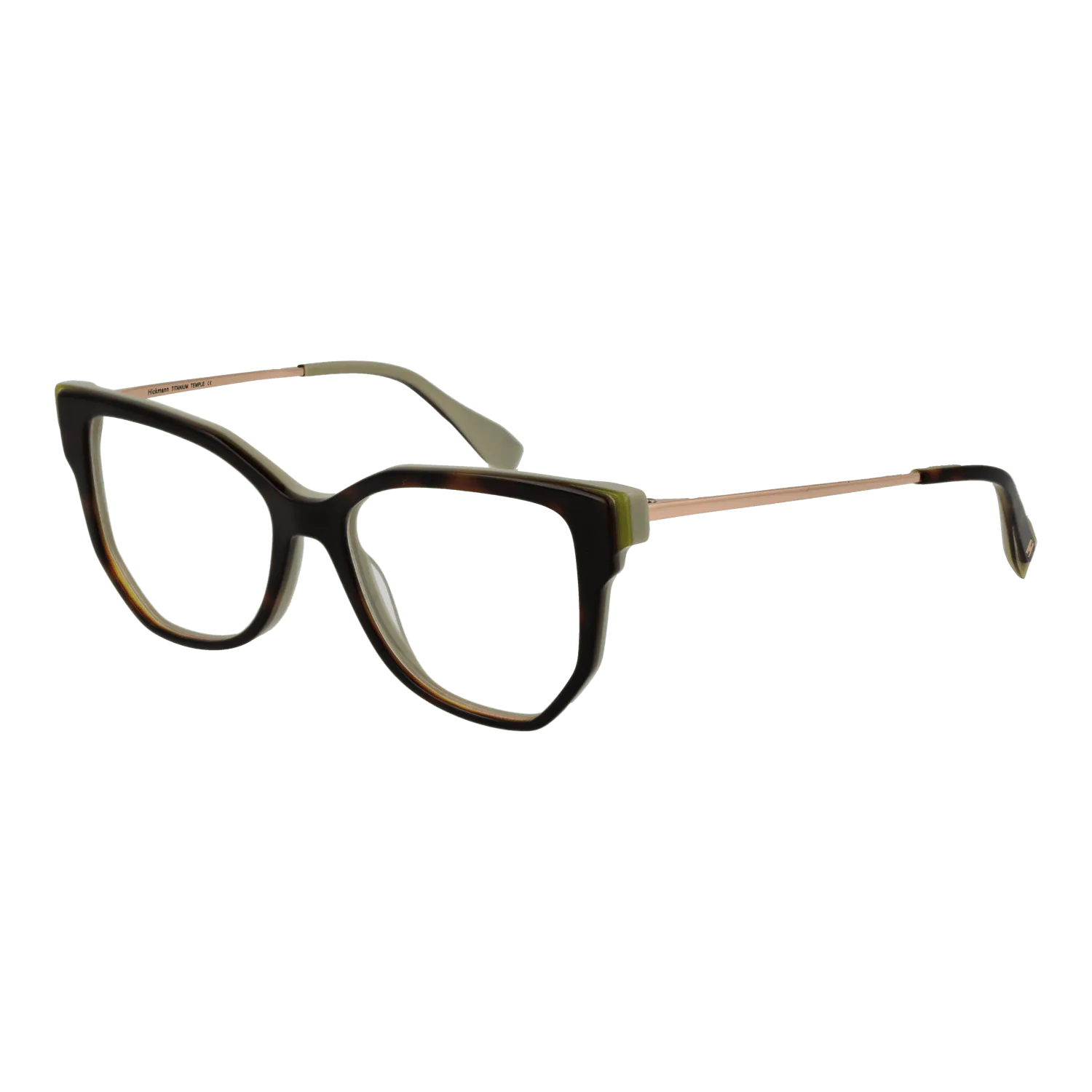 Ana Hickmann Optical Frame HI6292T G21 51