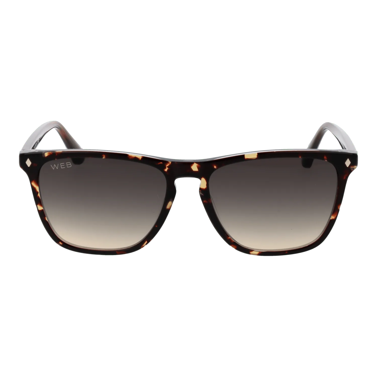 Men Brown Web Sunglasses WE0363 56B 55