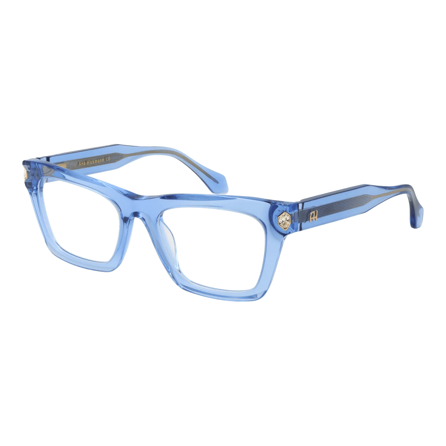 Ana Hickmann Optical Frame AH6504 T02 52