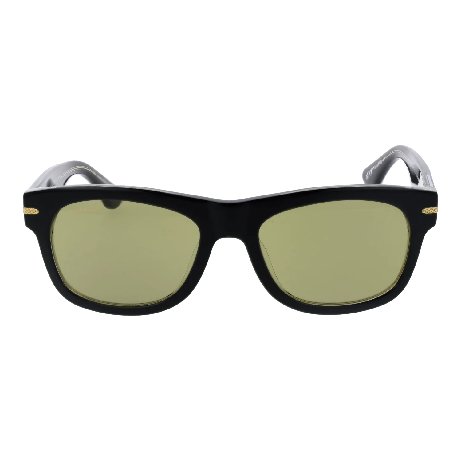 Unisex Black Serengeti Sunglasses SS549005 Foyt