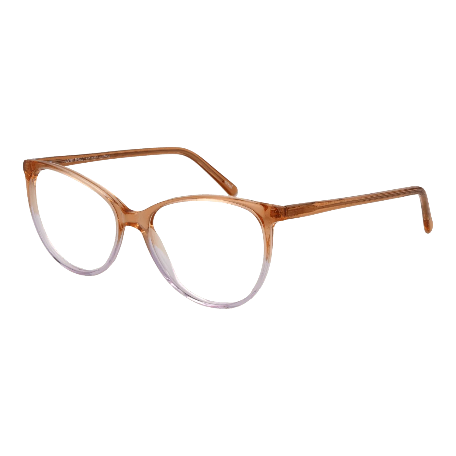 Andy Wolf Optical Frame 5076 F 55