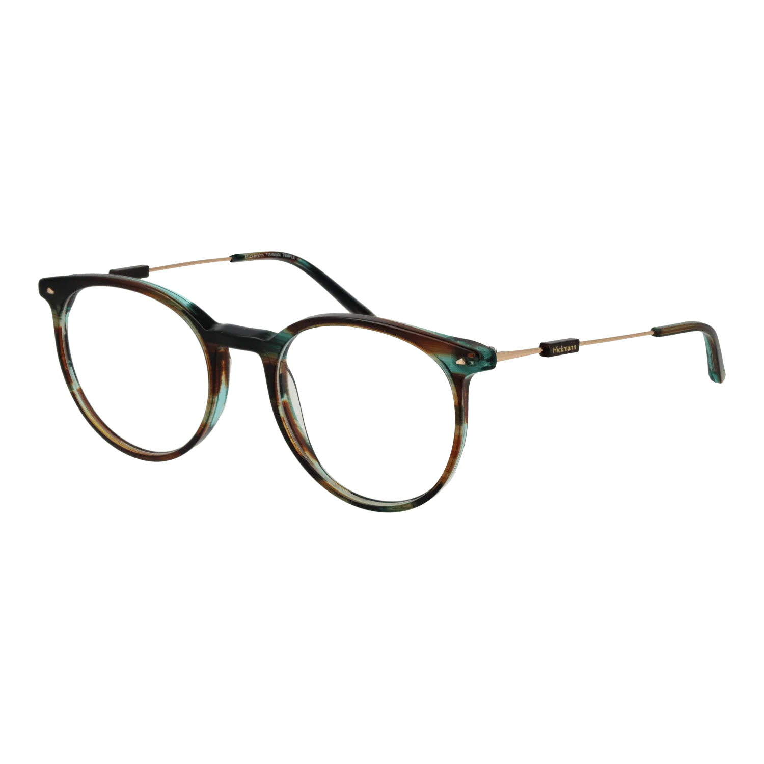 Ana Hickmann Optical Frame HI6237T E02 51