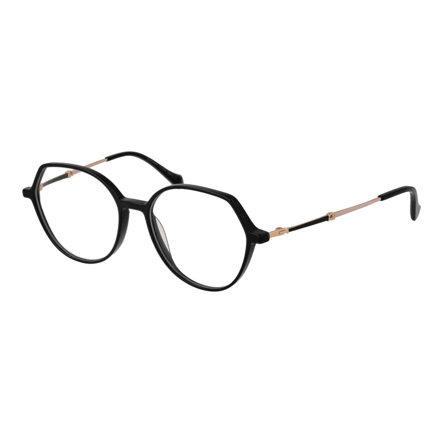 Ana Hickmann Optical Frame AH6469T A01 54