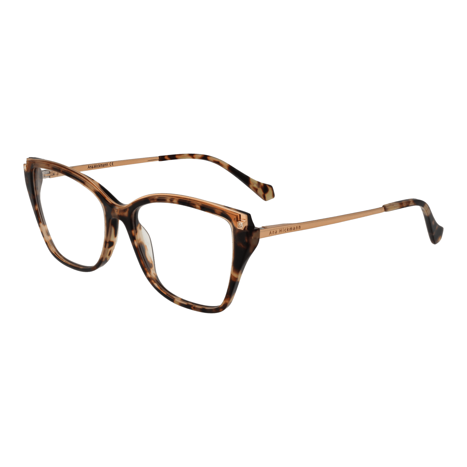Ana Hickmann Optical Frame AH6476 G21 55