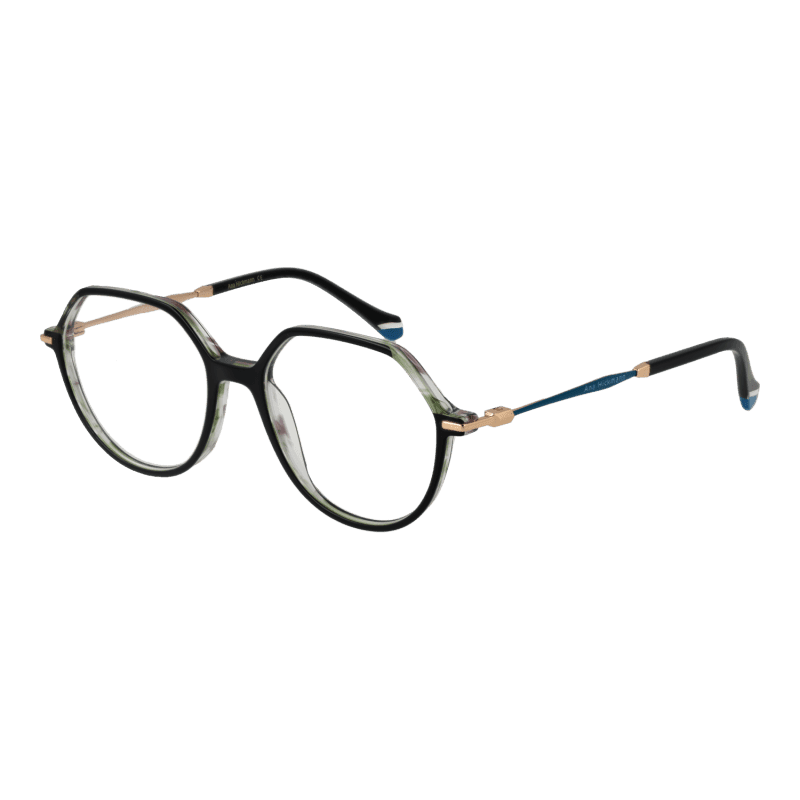 Ana Hickmann Optical Frame AH6480 H01 52