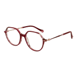 Ana Hickmann Optical Frame AH6480 H02 52