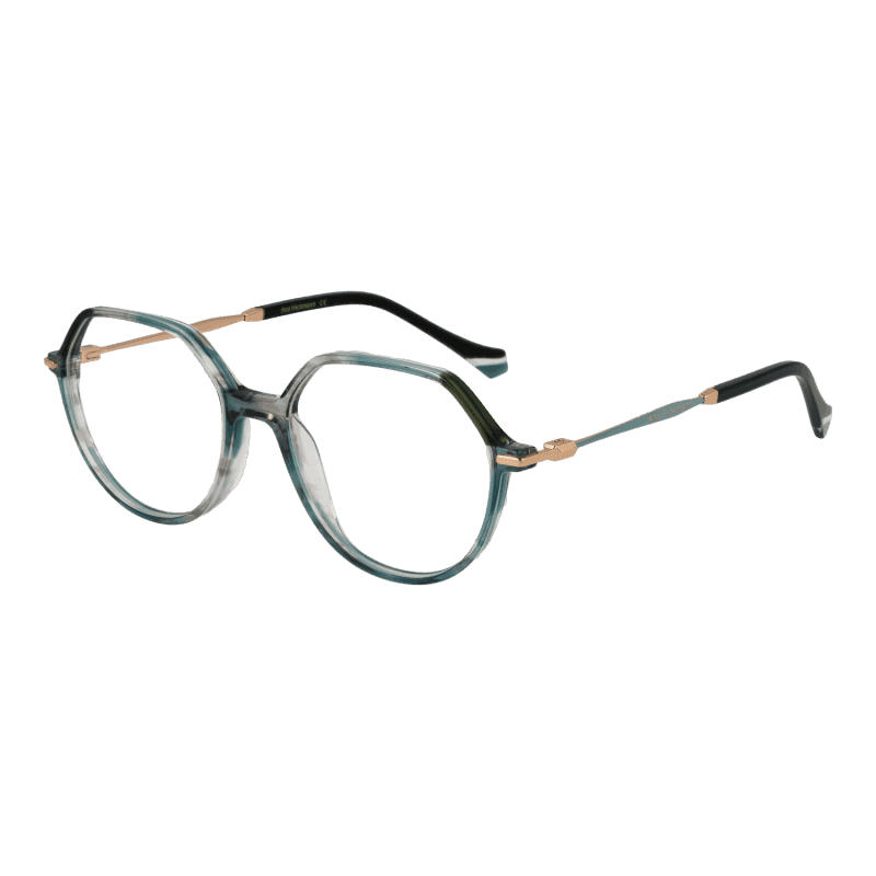 Ana Hickmann Optical Frame AH6480 P02 52