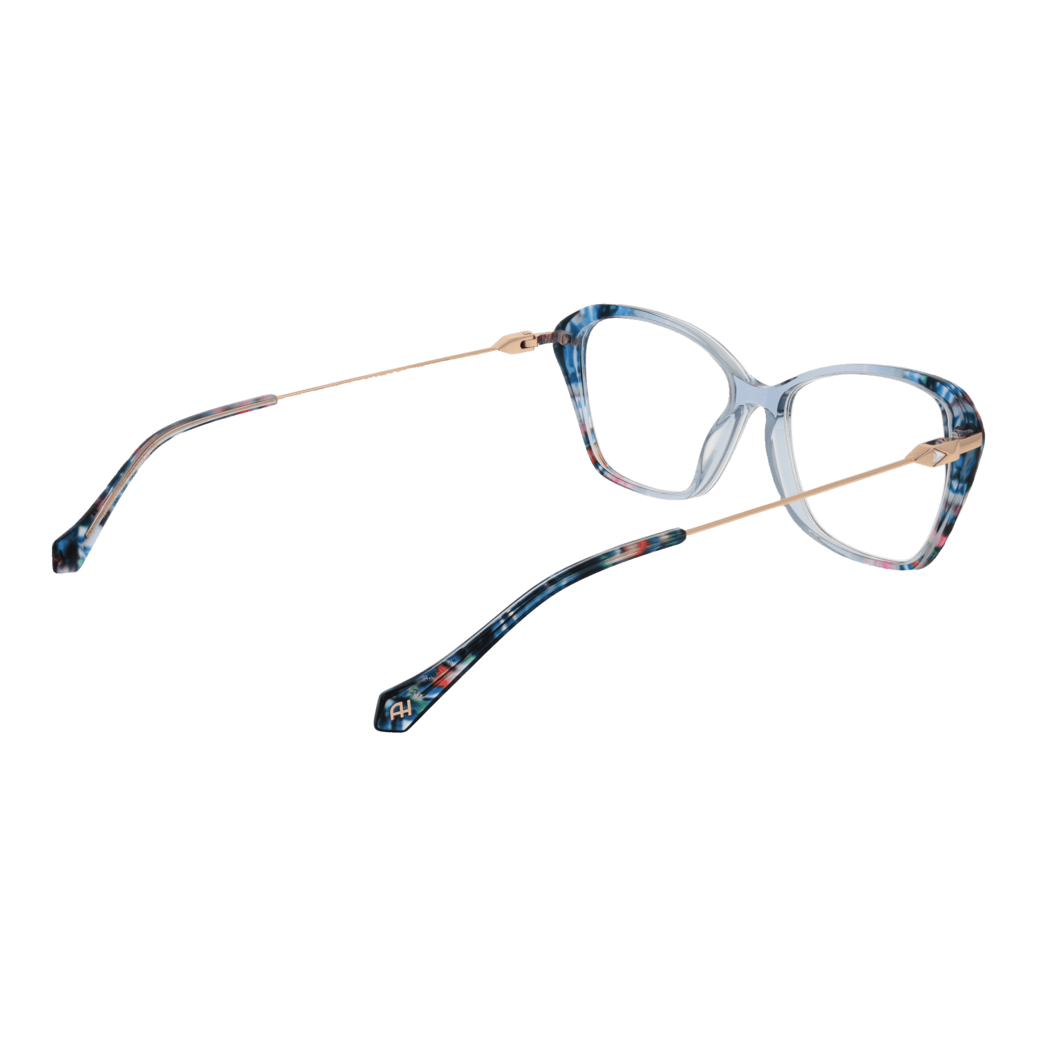 Ana Hickmann Optical Frames AH6496T 54C01