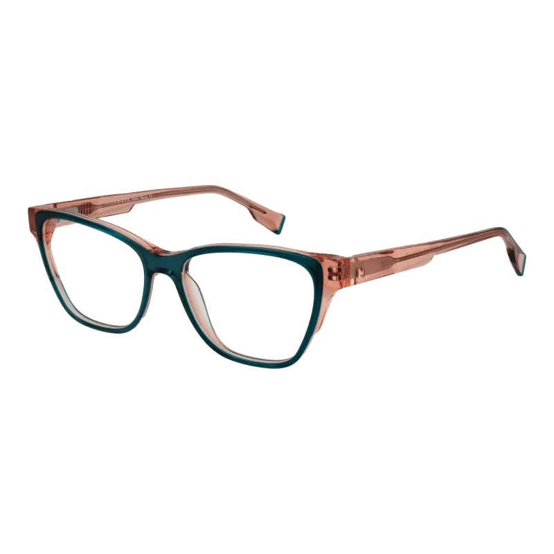 Ana Hickmann Optical Frame HI6262 H03 52
