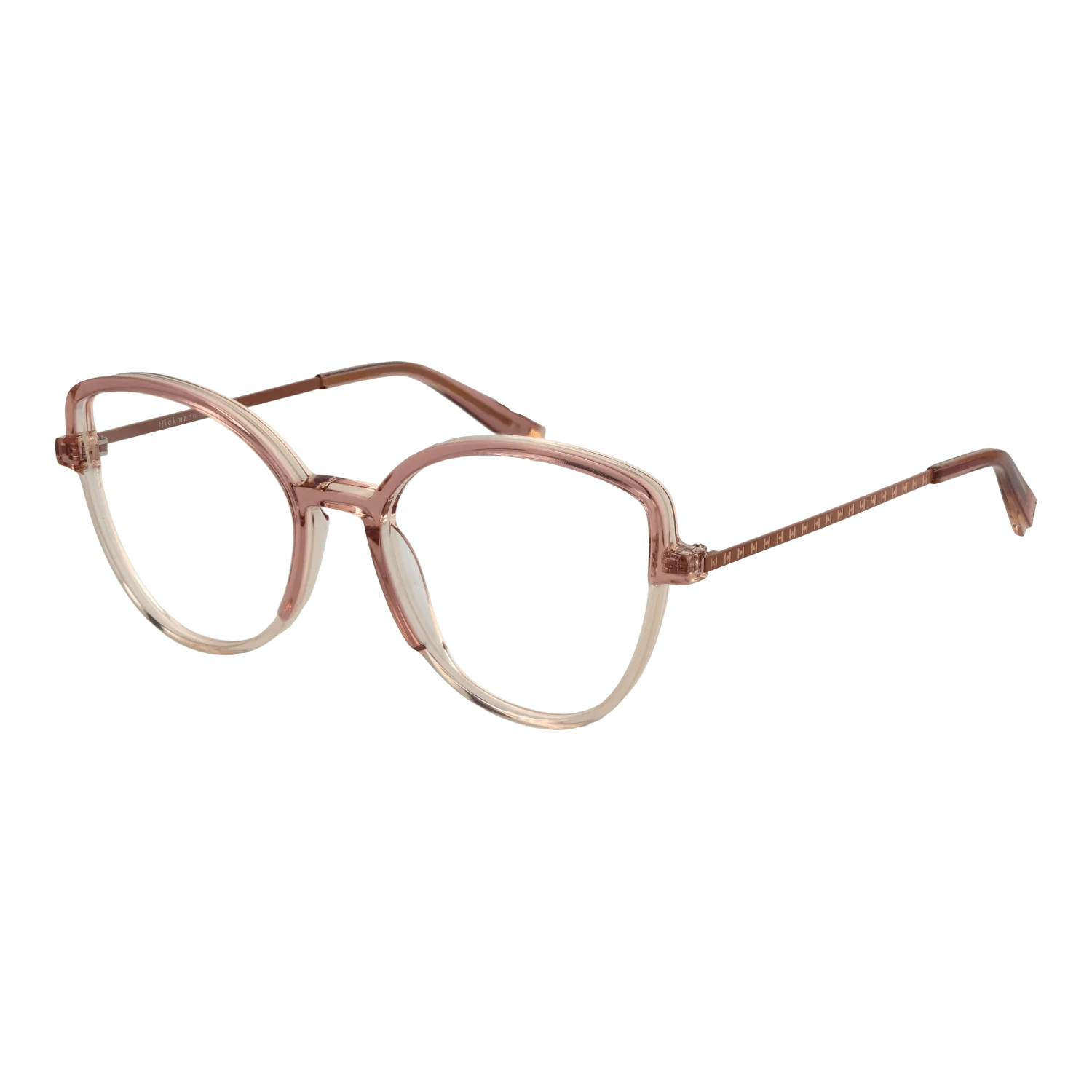 Ana Hickmann Optical Frame HI6265 H02 54