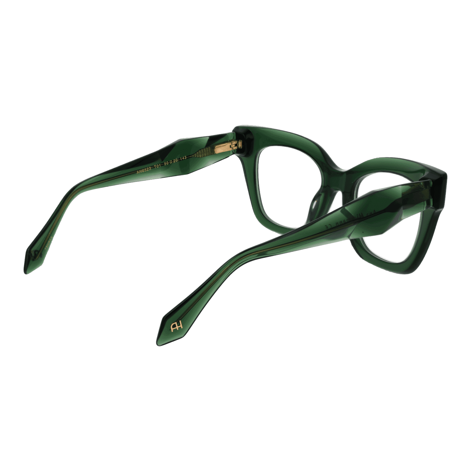 Ana Hickmann Optical Frames AH6523 50T01