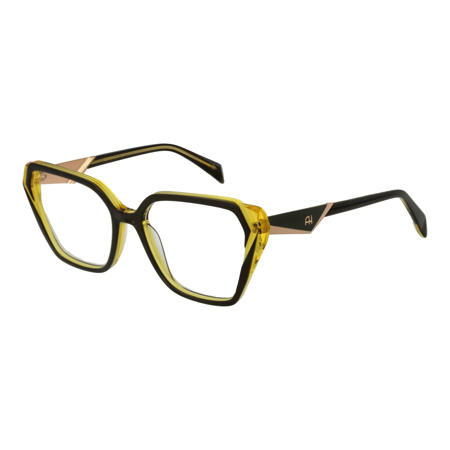 Ana Hickmann Optical Frame AH6538 H01 55
